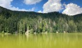 Excursión Senderismo Le Valtin - Le lac vert - Photo 14