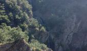 Randonnée Marche Val-d'Aigoual - les cascades de l'aigoual par seyrerede - Photo 7