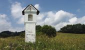 Tour Zu Fuß Hannsdorf - [Ž] Sklené - Vysoké Žibřidovice - Photo 3