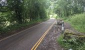 Tocht Te voet Malvern Hills - Abberley Circular Walk - Photo 6