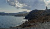 Trail Walking Port-Vendres - paulille . cap bear . paulille - Photo 4