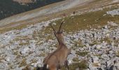 Trail Walking Saint-Agnan-en-Vercors - Grand Veymont en A/R par le pas des chatons - Photo 3