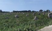 Trail Walking Carnac - tro vraz - Photo 4