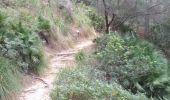 Tocht Stappen Alcúdia - MAJORQUE - Ermita de la Victoria (Alcudia) - Photo 2