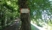 Tour Zu Fuß Carenno - Sentiero 811: Carenno - Colle di Sogno - Pertüs - Photo 1