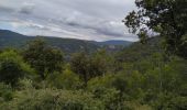 Tour Wandern Draguignan - le malmont Draguignan - Photo 2