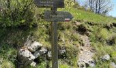 Randonnée Marche Puget-Rostang - Puget Rostang à Auvare - Photo 6