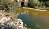 Randonnée Marche Blauzac - arsel de blauzac au pont saint nicolas - Photo 4