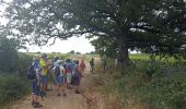 Tocht Stappen Tourbes - jolie boucle à Tourbes - Photo 10