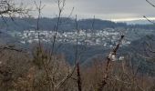 Tour Wandern Besançon - Brégille, Beauregard  - Photo 18