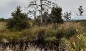 Trail Walking Spa - grand tour de la fagne de Malchamps - Photo 15