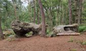 Tocht Stappen Fontainebleau - Fontainebleau Sentier Denecourt 17 - Photo 16