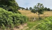 Tour Wandern Chalmazel-Jeansagnière - Au dessus de Chalmazel  - Photo 8