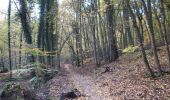 Trail Walking Orival - 20221117-Les Essarts  - Photo 8