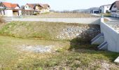 Tocht Te voet Mettersdorf am Saßbach - Sarossa Krenweg - Photo 3