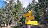 Tour Wandern Mont Lozère et Goulet - Etape 6 le Bleymard  / Pont Montvert - Photo 11