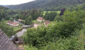 Tocht Stappen Bourg-de-Sirod - Perte de l'Ain 15.7.24 - Photo 8