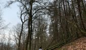 Trail Walking Bouillon - Toer Laviot - Photo 18