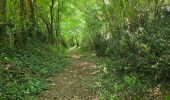Trail Walking La Chapelle-Enchérie - La Chapelle-Enchérie - Les Haies - Photo 14