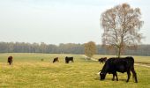 Tocht Te voet Ede - Dwars door Gelderland (8) - Photo 5
