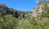 Trail Walking Villeneuve-Loubet - Les Rives du Loup, de Villeneuve L. Médiathèque à La Colle sur Loup - Photo 5