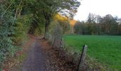 Tocht Stappen Ham-sur-Heure-Nalinnes - Du Pré al Roch au hameau l'Amérique - Photo 4