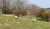 Tocht Stappen Manhay - Malempré Oster Aisne 24,5 km - Photo 6