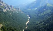 Percorso A piedi Schwangau - Naturpfad Ahornreitweg - Photo 7