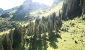 Tocht Stappen La Clusaz - Le Lac de Tardevant - Photo 8