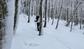 Trail Snowshoes Le Valtin - Col de la Schlucht - Photo 1