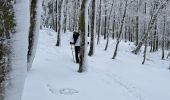 Randonnée Raquettes à neige Le Valtin - Col de la Schlucht - Photo 1