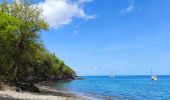 Trail Walking Bouillante - 🦎 Guadeloupe - Morne Lézard 🦎 - Photo 3