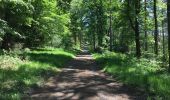 Excursión Bicicleta híbrida Verviers - Bois du Staneux 1 - Photo 1