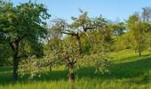 Percorso A piedi Dörzbach - Pfad der Stille (Dörzbach) - Photo 7