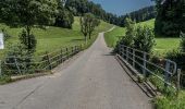 Percorso A piedi Willisau - Willisau (Schwyzermatt) - Hergiswil - Photo 3