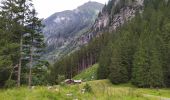 Trail Walking Mallnitz - Seebach Cascades - Photo 11