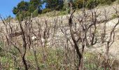 Trail Walking Vauvenargues - Vimont.helene - Photo 11