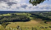 Trail Walking Esneux - esneux grande boucle de l ourthe via roche aux foncons - Photo 4