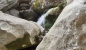 Trail Walking Mazaugues - Saut du cabri Carami - Photo 4