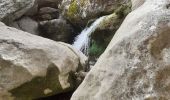 Tour Wandern Mazaugues - Saut du cabri Carami - Photo 4