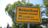 Tour Zu Fuß Schönwald - Wanderweg Reichwalde-Kasel-Golzig-Waldow - Photo 9