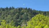 Tocht Stappen Loudenvielle - Tour du lac de Génos  - Photo 10