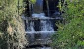 Trail Walking Solesmes - Solesmes. Circuit au pays de barbari - Photo 2