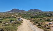 Excursión Bici de montaña Zicavo - Balade sur le plateau du Coscione - VTT - Photo 8