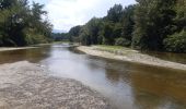 Tour Wandern Montesquieu-des-Albères - montesquieu-des-alberes entre canaux, rivières et tech  - Photo 14