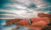 Percorso A piedi Carry-le-Rouet - Entre calanques et collines - Photo 10