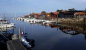 Excursión Senderismo Gujan-Mestras - les prés salés est la Teste de Buch - Photo 5