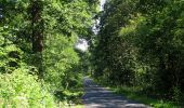 Tour Wandern Rethondes - en forêt de Laigue_4_08_2019_Mont du Fouilleux_Mont des Singes_Marais de Francière - Photo 9
