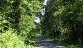 Randonnée Marche Rethondes - en forêt de Laigue_4_08_2019_Mont du Fouilleux_Mont des Singes_Marais de Francière - Photo 9