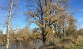 Tour Wandern Andrézieux-Bouthéon - Étangs andrezieux  72000 pas - Photo 2